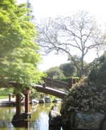 Japanese Friendship Garden San Jose 12.JPG